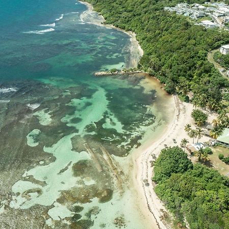 Ferienwohnung Le Pti' Zandoli Anse des Rochers Saint-Francois  Exterior foto