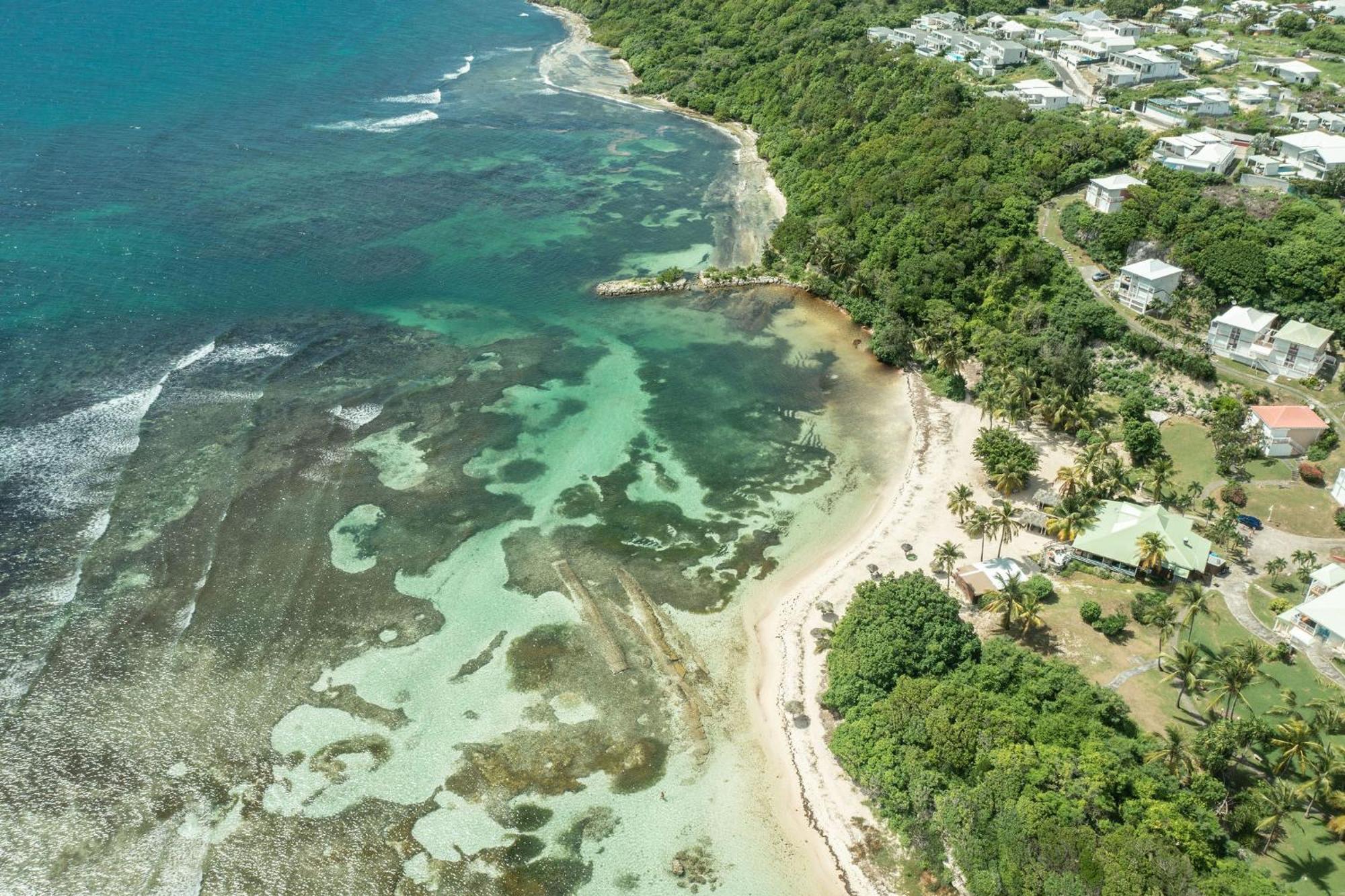 Ferienwohnung Le Pti' Zandoli Anse des Rochers Saint-Francois  Exterior foto
